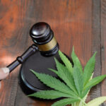 A gavel and a marijuana leaf, showing that this article is about legal marijuana securities and investments