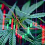 Expert witness and cannabis capital structure services by Safe Equity specializing in investments, securities, and litigation support.