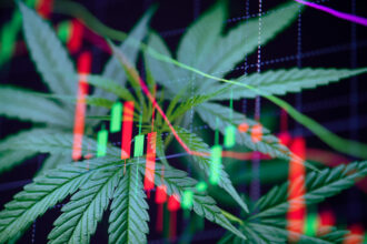 Expert witness and cannabis capital structure services by Safe Equity specializing in investments, securities, and litigation support.