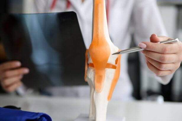 Expert witness in rheumatology and musculoskeletal disorders