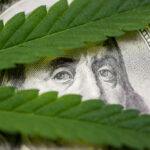 Expert witness in cannabis investments and securities.
