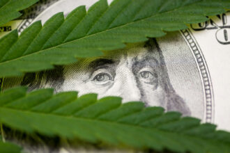 Expert witness in cannabis investments and securities.