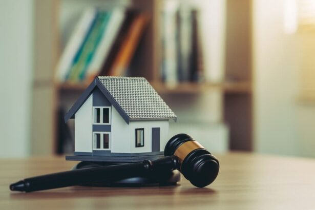 Real estate lawyer services and mold legal issues in Los Angeles by DLG Law Group