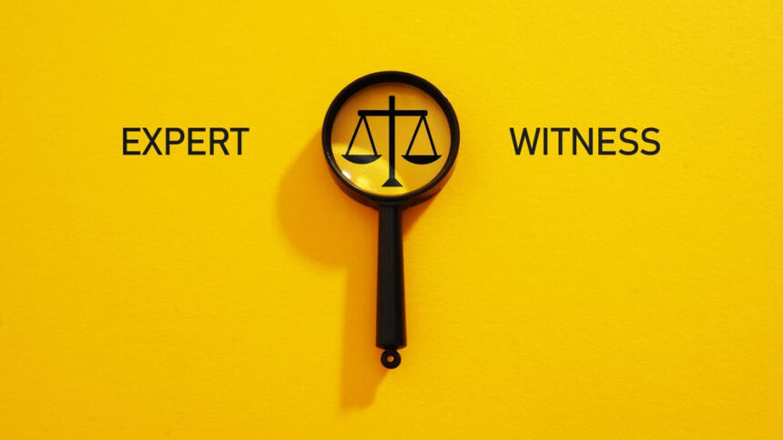 Expert Witness Services