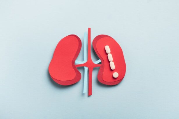 Nephrology expert witness Kevin Griffiths provides consulting and testimony for kidney and hypertension legal cases.