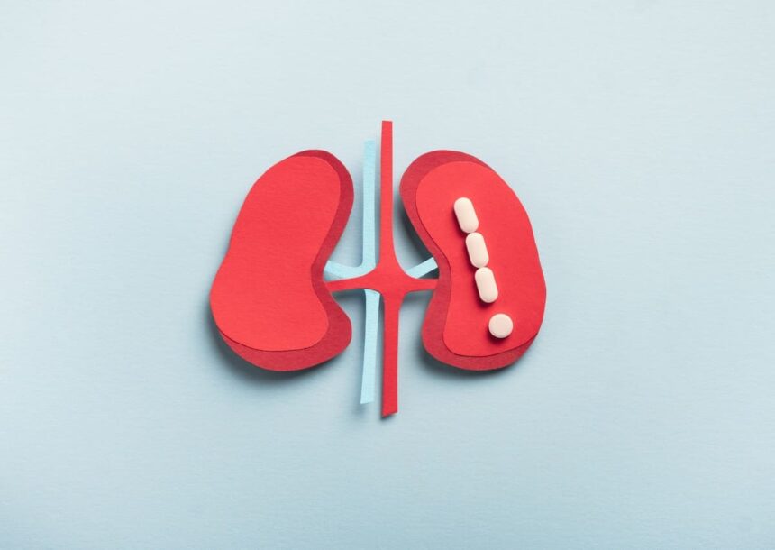 Nephrology expert witness Kevin Griffiths provides consulting and testimony for kidney and hypertension legal cases.