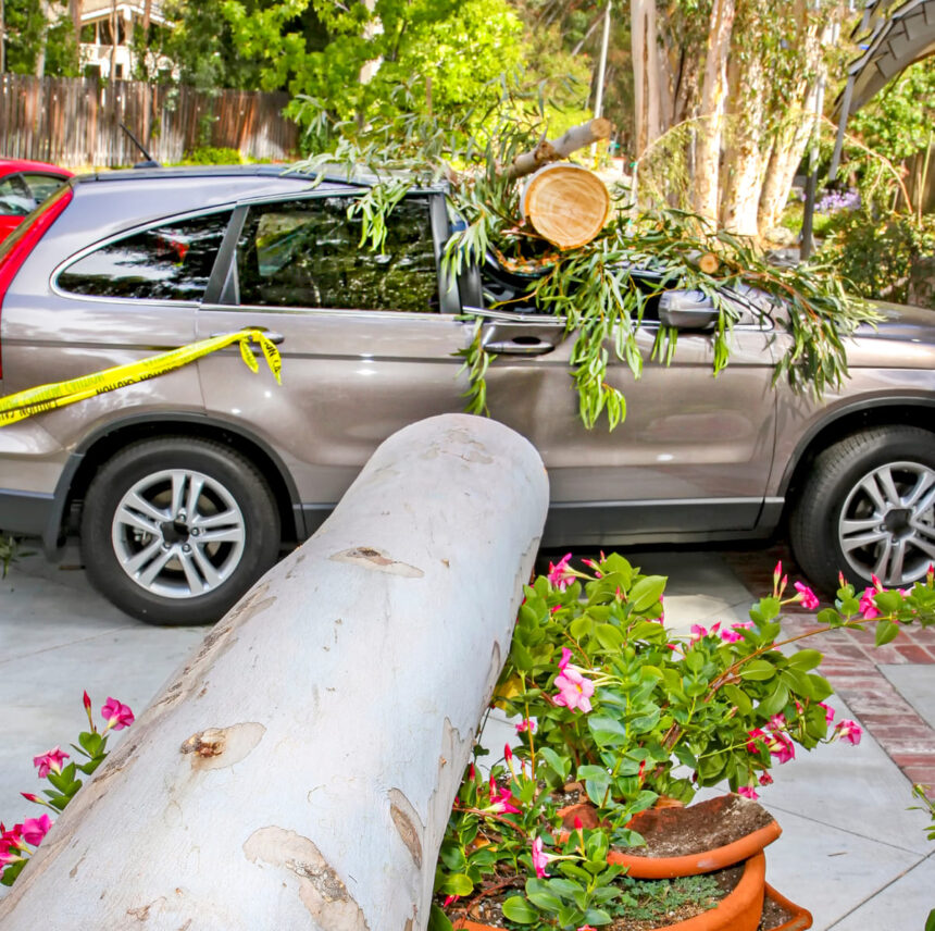 Public adjuster handling residential and commercial claims in Oakland and California