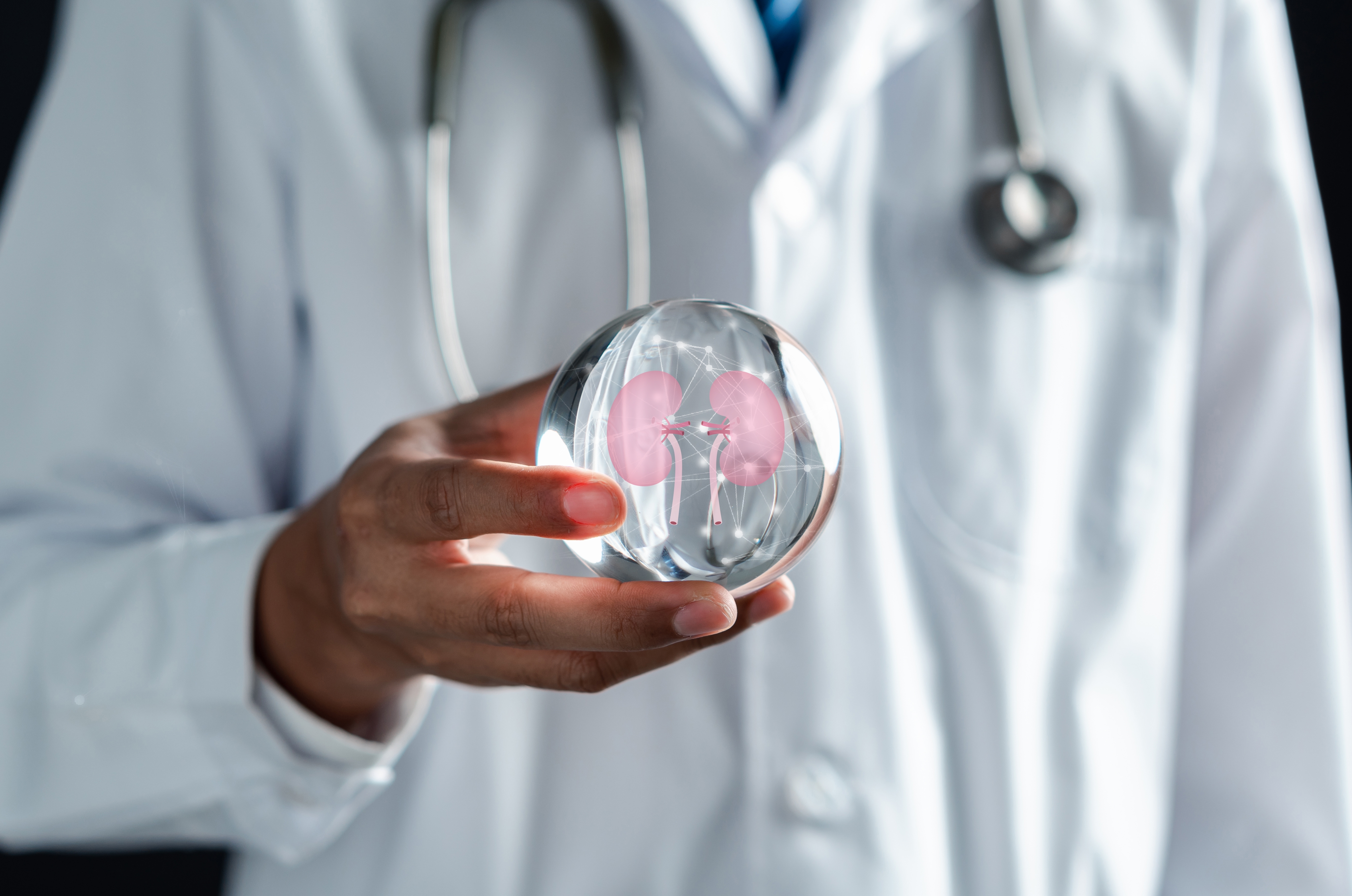 expert witness in chronic kidney disease Maryland courtroom